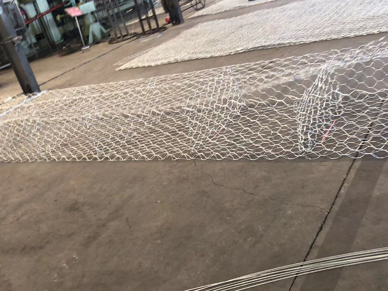 宾格笼